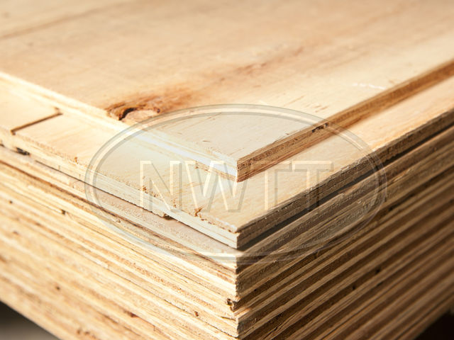 Sheathing Plywood
